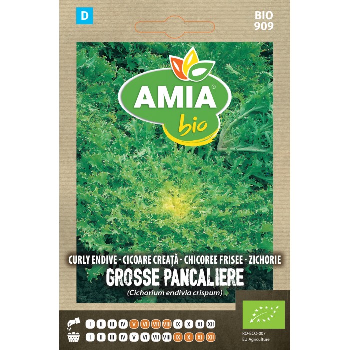 Seminte bio de cicoare creata Amia Grosse Pancaliere Race Alba 1 gram